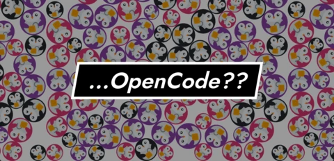 OpenCode 101